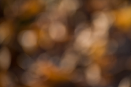 Colorful,fall,blurred,abstract backgroundの写真素材