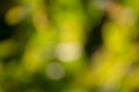 Colorful,fall,blurred,abstract backgroundの写真素材