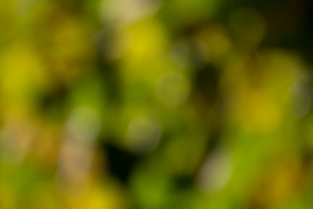 Colorful,fall,blurred,abstract backgroundの写真素材