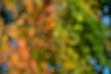 Colorful,fall,blurred,abstract backgroundの写真素材
