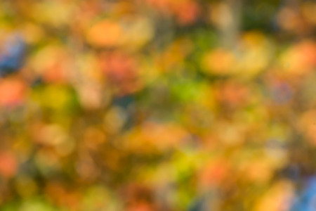 Colorful,fall,blurred,abstract backgroundColorful,fall,blurred,abstract backgroundの写真素材