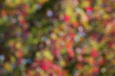 Colorful,fall,blurred,abstract backgroundの写真素材