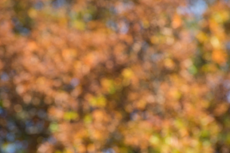 Colorful,fall,blurred,abstract backgroundの写真素材