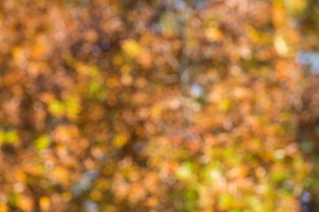 Colorful,fall,blurred,abstract backgroundの写真素材