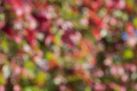 Colorful,fall,blurred,abstract backgroundの写真素材