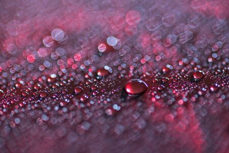 Water drops red bokeh backgroundの写真素材