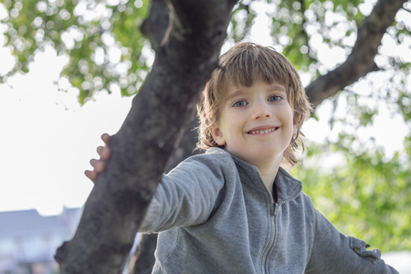 Portrait of a boy playing in a treeの写真素材