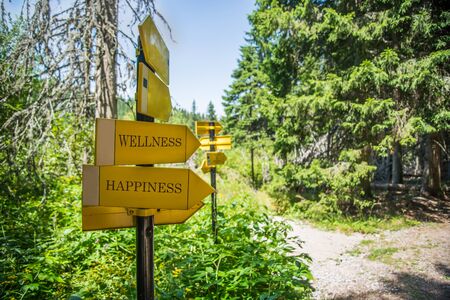 Hiking Signpost to Wellness And Happiness
