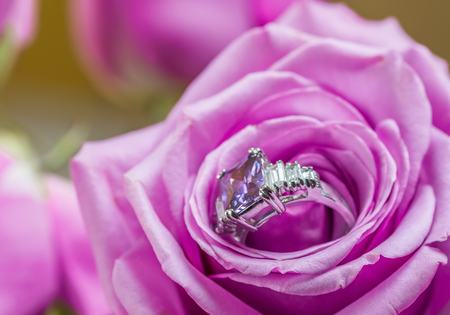 Engagement ring set inside a pink roseの写真素材