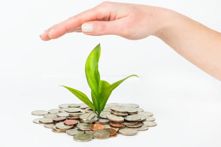 Woman hands protecting concept of money plant growing from moneyの写真素材
