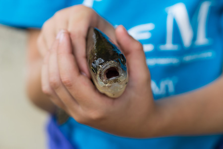 Kid holding a fish, close up