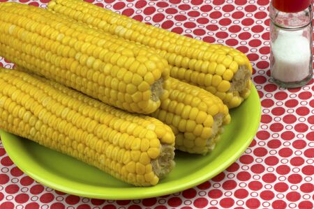 Tasty yellow corn cobs on a tablecloth.の写真素材