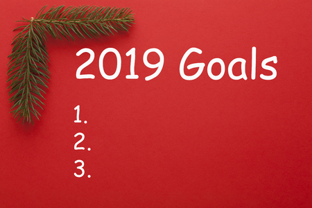 Corner made of tree branches and text 2019 goals on red background. New Year Conceptの写真素材