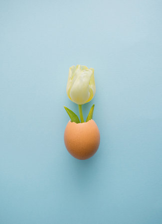 Easter egg concept with beautiful white tulip on cyan background. Creative layout. Flat lay view.
