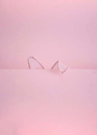 2021 Easter unique concept with bunny rabbit ears on a pink monochrome background. Creative minimal composition. Flat lay.の写真素材