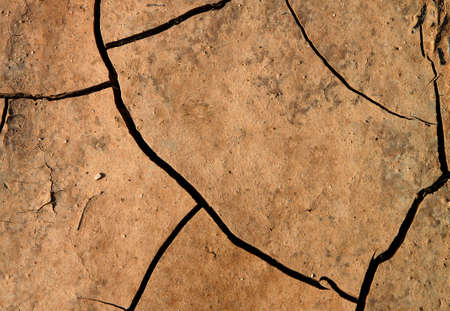 Dry terra background for different uses