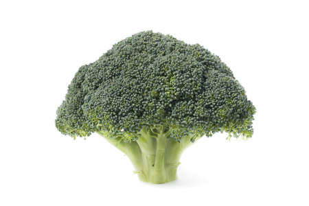 Bunch of broccoli isolated on white background の写真素材