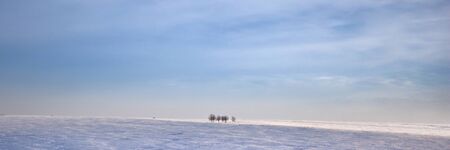 Wide natural panorama of a snowy field with several trees.  This is a cold and clear winter afternoon. の写真素材