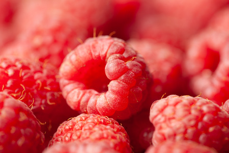 Macro view of ripe red and fresh raspberries as a background. Full frame image.の写真素材