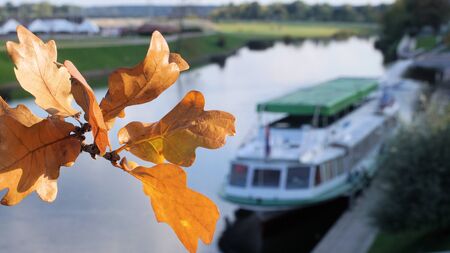 oak leaves with the ship on the riverの写真素材