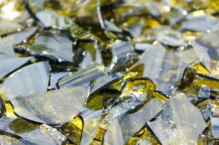 Brown and yellow broken glass in the rays of the bright sunの写真素材