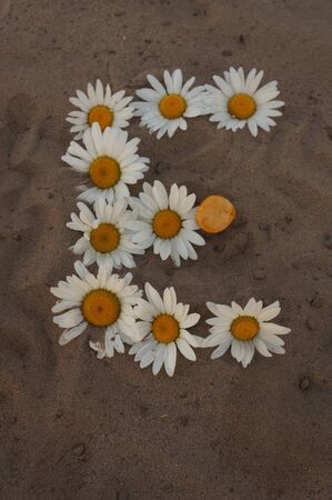 Russian word and letters - summer - composed of flowering white camomiles on sandの写真素材