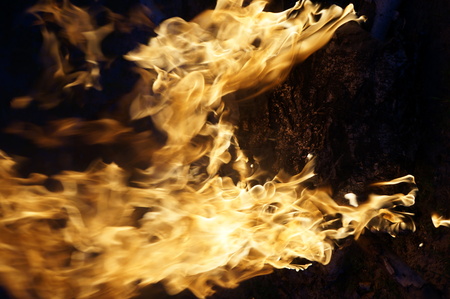 Bright flame of fire from birch bark and firewood in the evening forest