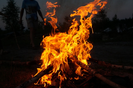 Bright flame of fire from birch bark and firewood in the evening forestの写真素材