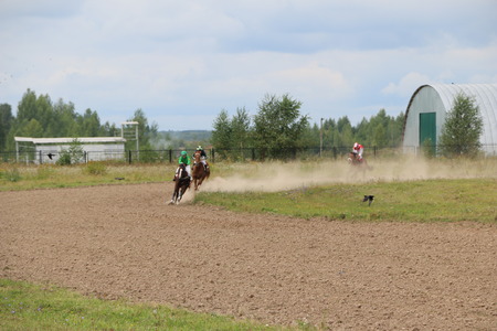 Medvedev, RUSSIA, AUGUST 26, 2017: Open championship on horse racing and jumping dedicated to the day of the settlement of Medvedeva - horse racingのeditorial素材