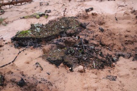 A section of sandy beach after a landslide - different layers of earth and sand, traces of creeks in the sand and various textures and shades of sandの写真素材