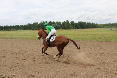 Medvedev, RUSSIA, AUGUST 26, 2017: Open championship on horse racing and jumping devoted to the day of the settlement of Medvedeva - paddock horses with jockeys - warm-up before horse racingのeditorial素材