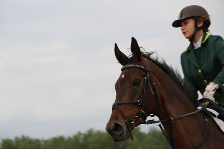 Medvedev, RUSSIA, AUGUST 26, 2017: Open championship on horse racing and jumping devoted to the day of the settlement of Medvedev - show-jumping- jumping over an obstacleのeditorial素材