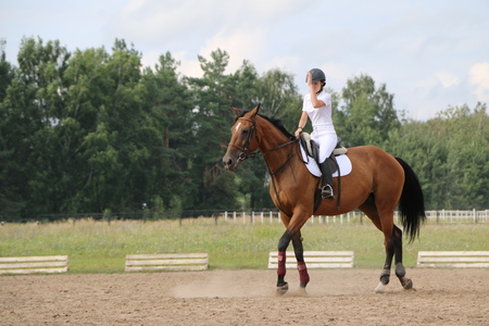 Medvedev, RUSSIA, AUGUST 26, 2017: Open championship on horse racing and jumping devoted to the day of the settlement of Medvedev - show-jumping- jumping over an obstacleのeditorial素材