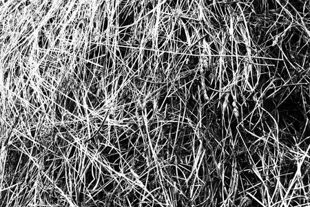 a haystack on a stretch in the old villageの写真素材
