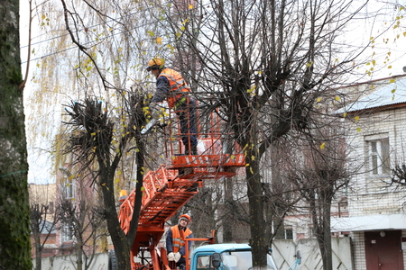 YOSHKAR-OLA, RUSSIA - NOVEMBER 8, 2017: Workers in helmets and orange waistcoats spend seasonal autumn pruning of trees in the city of a chainsawのeditorial素材