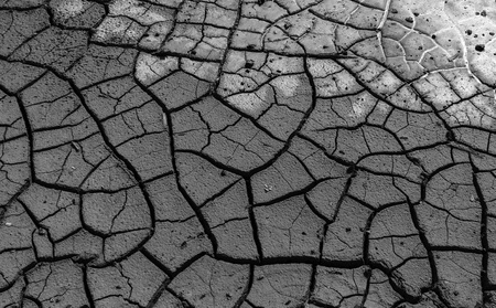 texture of a dried clay surface with deep cracks