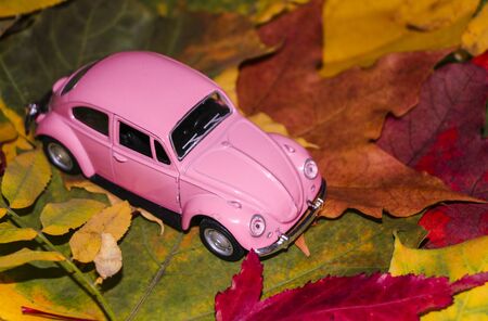 YOSHKAR-OLA, RUSSIA, SEPTEMBER 14, 2019: pink toy retro car on a background of autumn multi-colored leaves. The concept of the autumn sale of cars, autumn travel, autumn cardsのeditorial素材