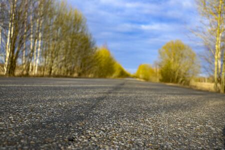spring forest road on a sunny morning, with blue sky and white fluffy clouds. Country asphalt road...
