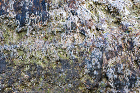 mountain textures of stones with interlayers of gypsum, colored quartz, clay, sand and other layers of various ores, with different textures, color and density, in a gypsum ore quarry.の写真素材