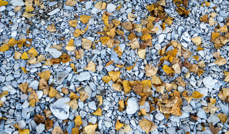 mountain textures of stones with interlayers of gypsum, colored quartz, clay, sand and other layers of various ores, with different textures, color and density, in a gypsum ore quarry.の写真素材