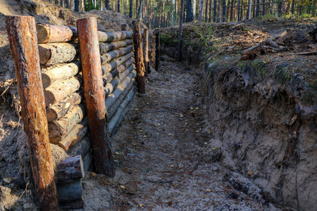 old military dugouts in the forest with trenches lined and reinforced with logs and small dugouts and shelters built from wood materials, logs and planks, underground.の写真素材