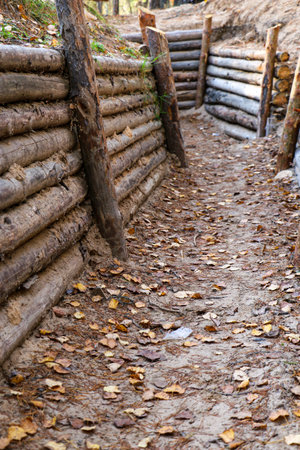 old military dugouts in the forest with trenches lined and reinforced with logs and small dugouts...