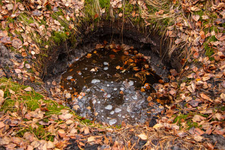 The old non-deep pit from the explosion of bombs or min, filled with water and leaves in the autumn...