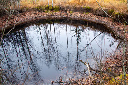The old non-deep pit from the explosion of bombs or min, filled with water and leaves in the autumn forest, on the old abandoned polygon.の写真素材