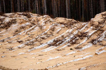 Textural sand, with a relief surface, multi-colored layers and different in size of granules, in an outdoor sand career, after mining ore and sand for construction.の写真素材