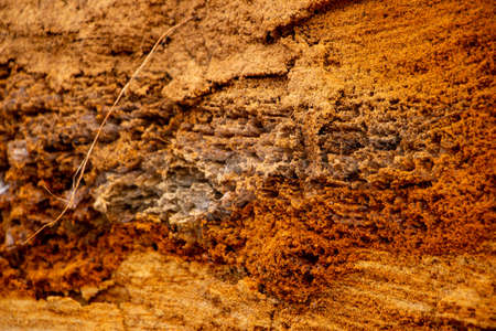 Textural sand, with a relief surface, multi-colored layers and different in size of granules, in an...