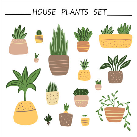 House plants colored illustration, home decoration and interior design elements. Vector house plants illustration, flowers in pot, green plants, urban jungle.のイラスト素材