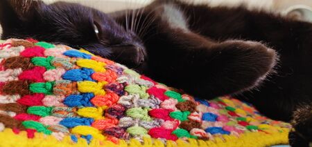 The black kitten lying over the plaid is about to fall asleep.
