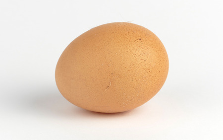 Egg isolated on white backgroundの写真素材