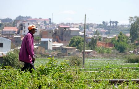 ANTANANARIVO, MADAGASCAR. NOVEMBER 24TH 2016: People activity in Antananarivo, Madagascar.のeditorial素材